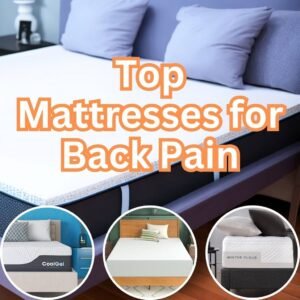 top mattresses for back pain